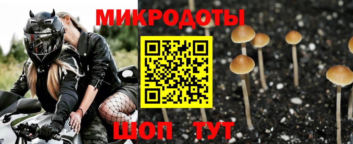 Галлюциногенные грибы GOLDEN TEACHER Берёзовский