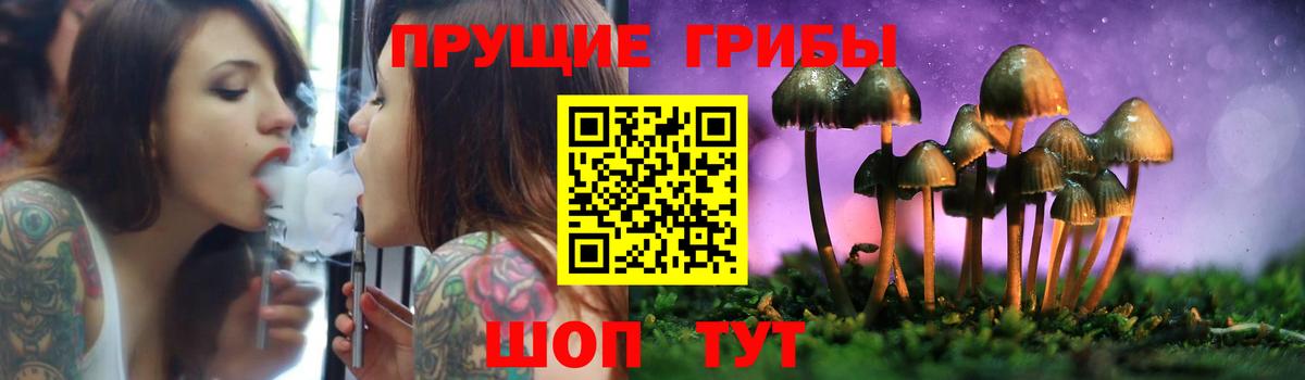 Псилоцибиновые грибы Psilocybe  Псилоцибиновые грибы ЛСД  Вход с VPN  Берёзовский 